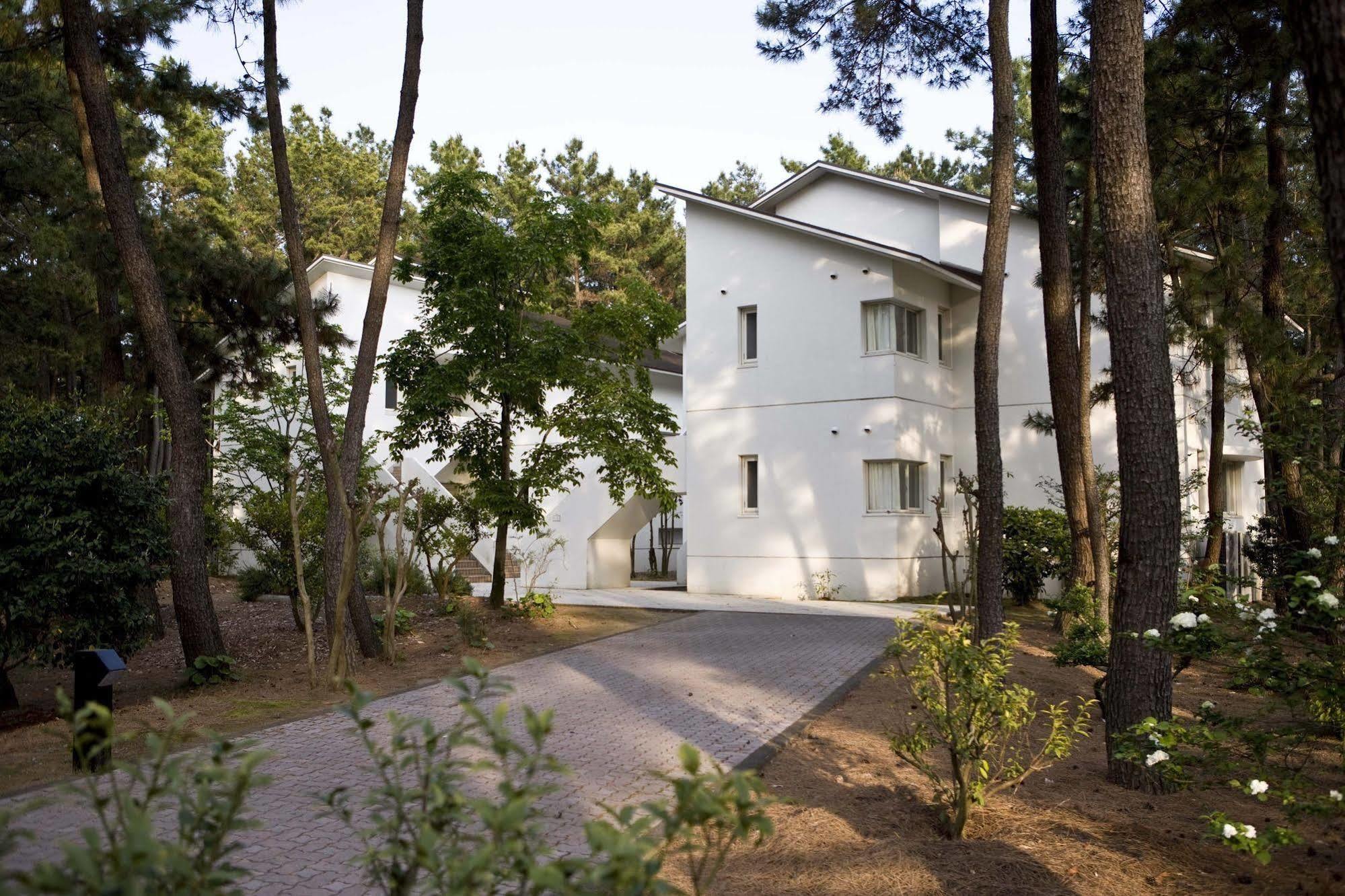 Cottage Himuka Miyazaki Exterior photo